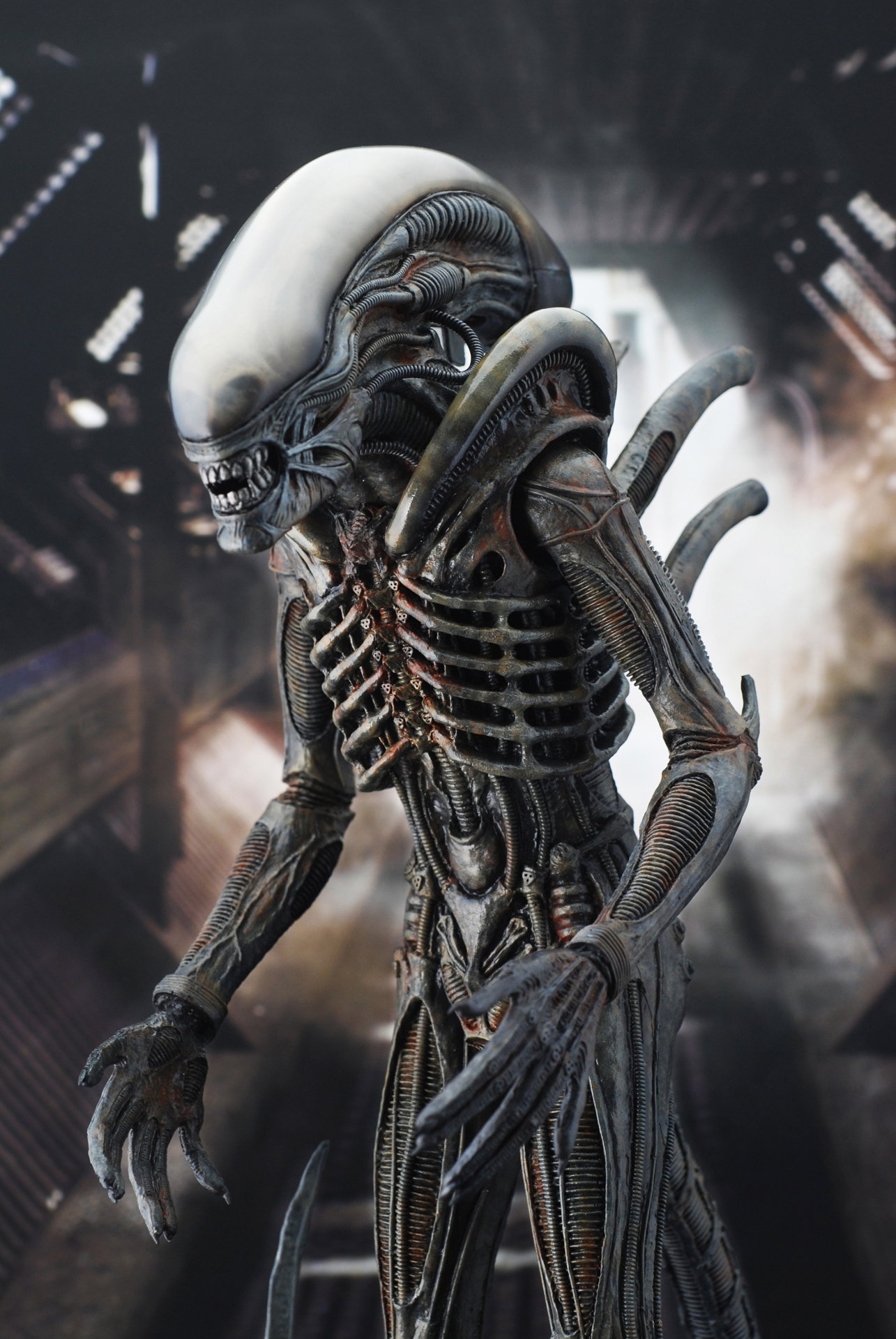 Alien - Big Chap Alien image 3