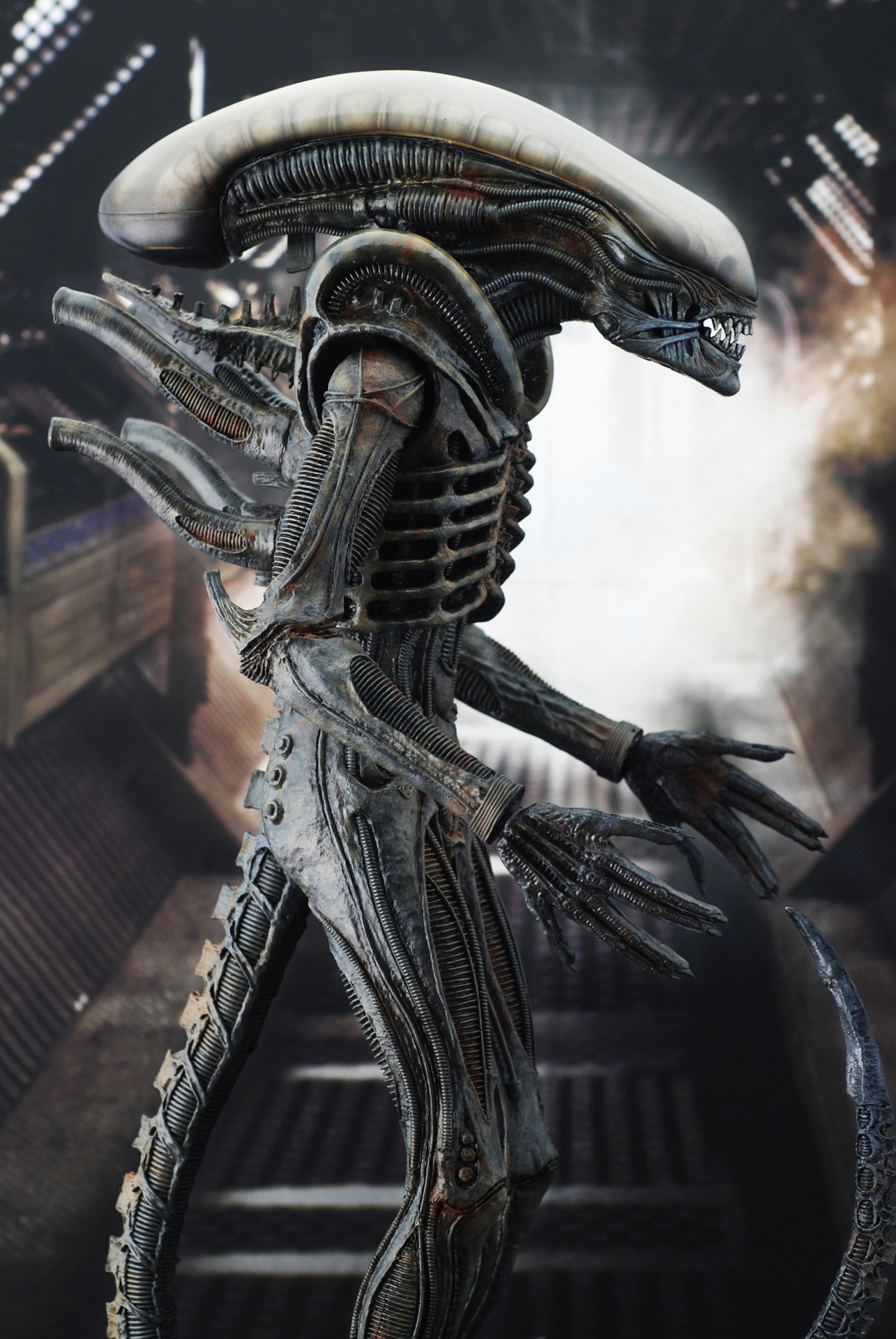 Alien - Big Chap Alien image 6