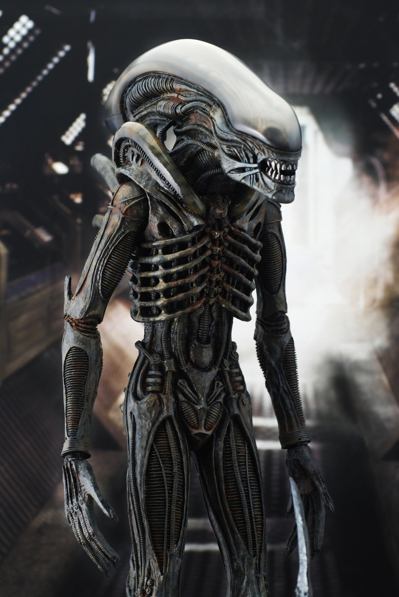 Alien - Big Chap Alien image 9
