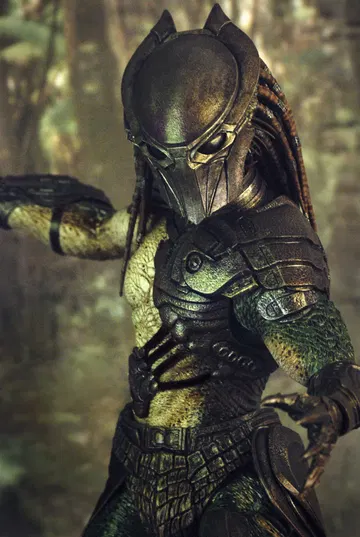 Predators - Falconer Predator