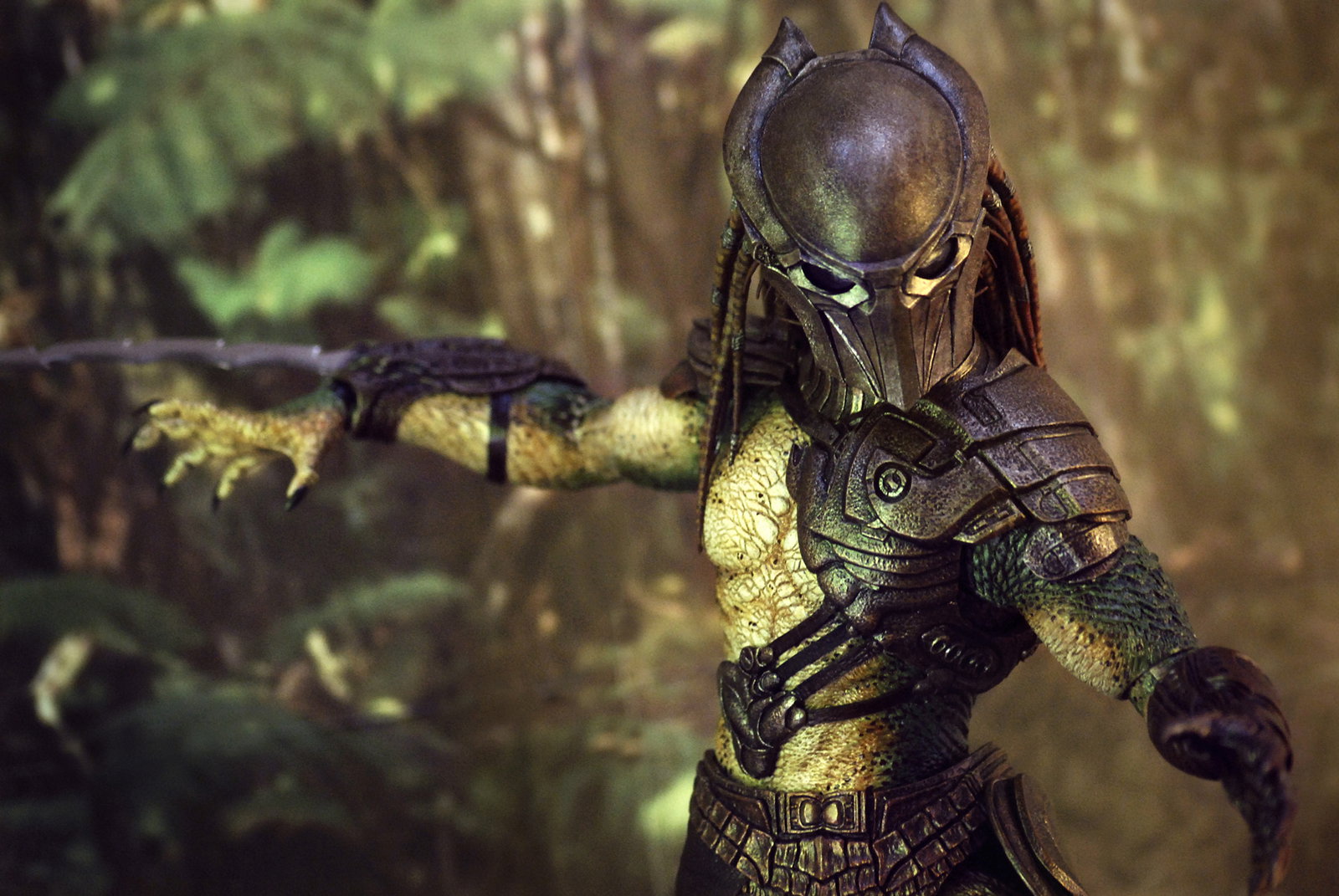 Predators - Falconer Predator image 2