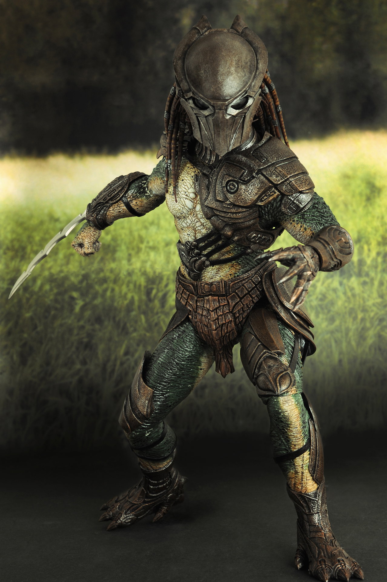 Predators - Falconer Predator image 3