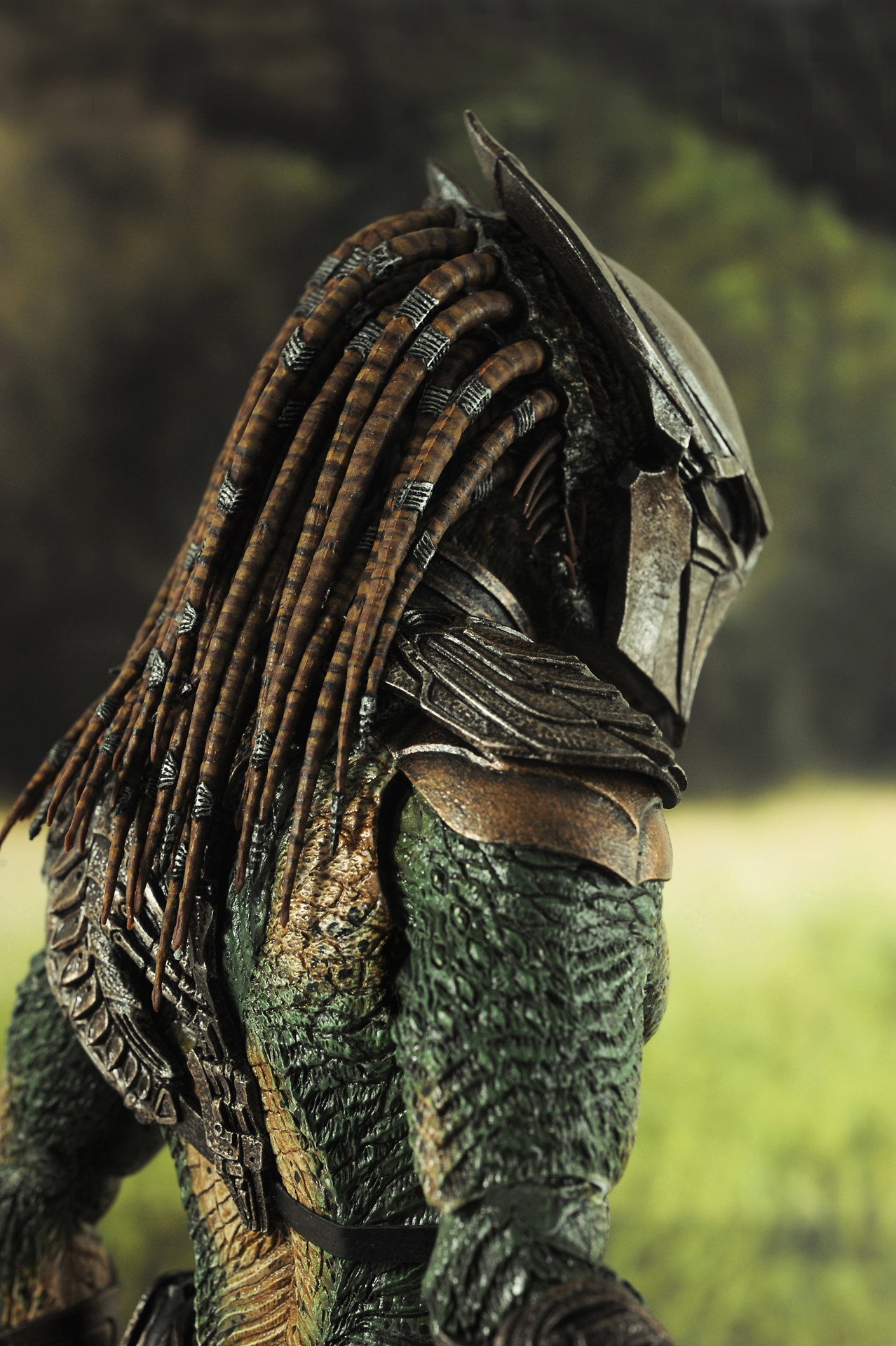 Predators - Falconer Predator image 5