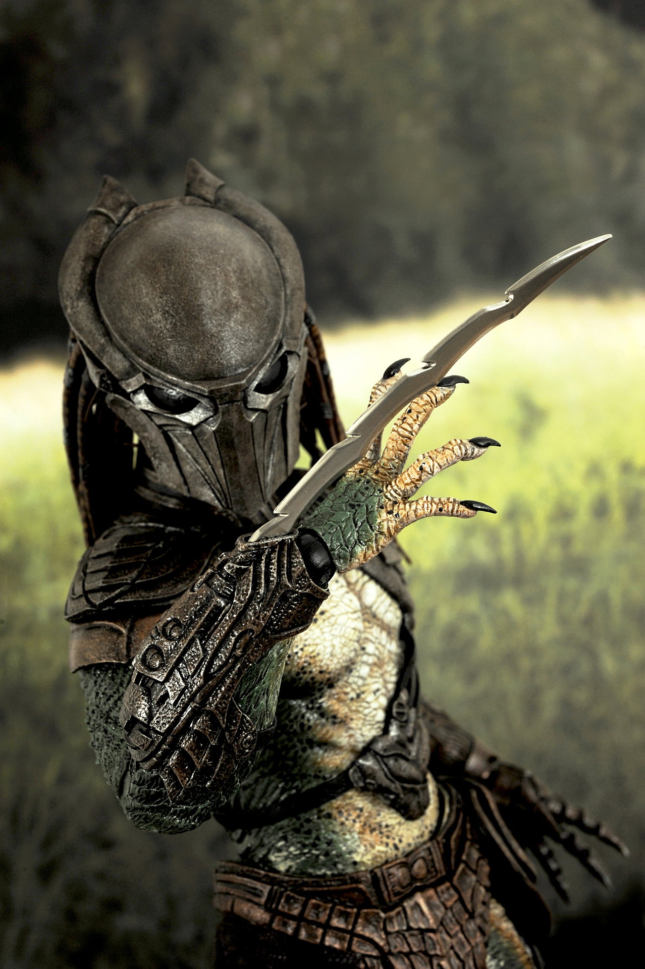 Predators - Falconer Predator image 7