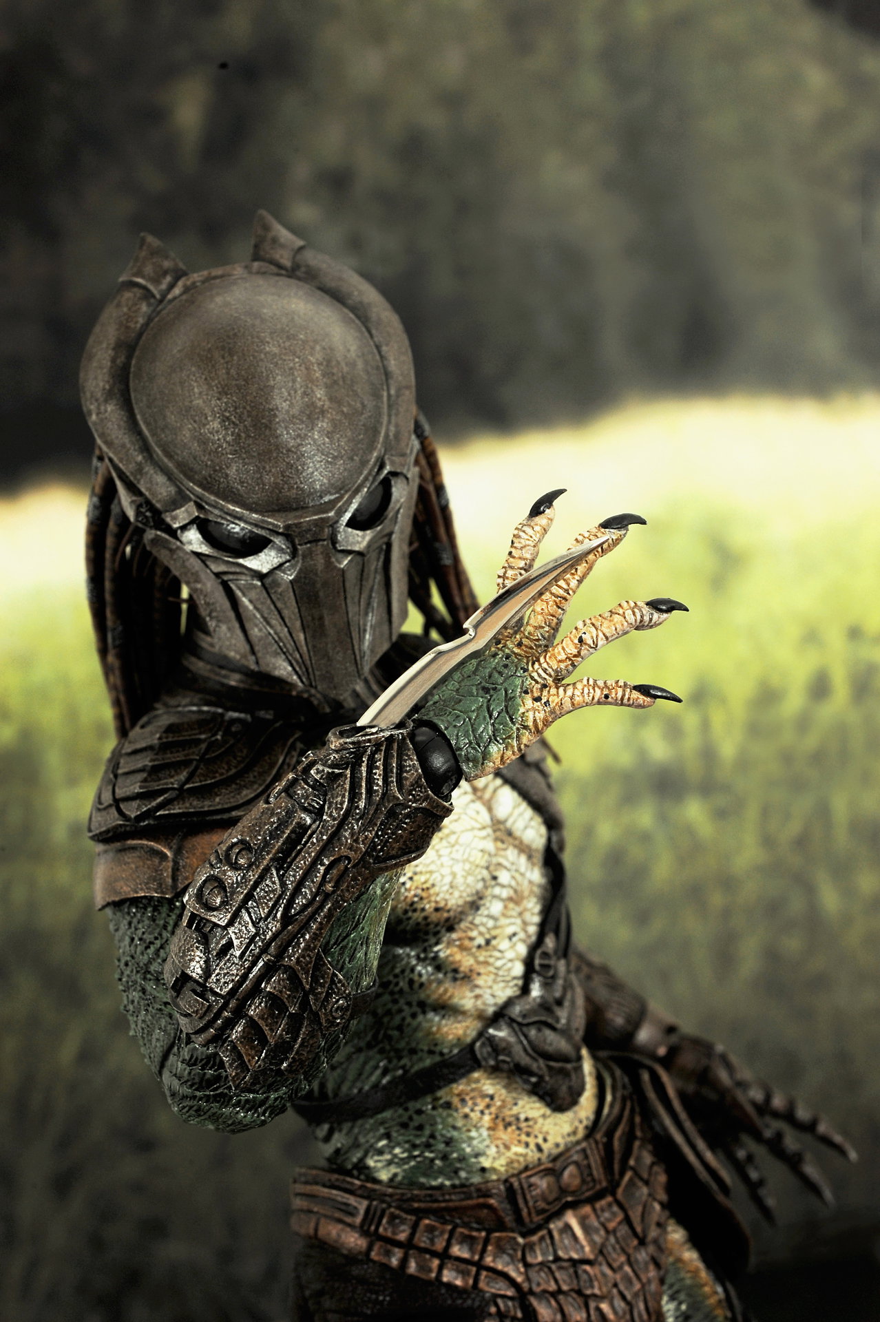 Predators - Falconer Predator image 8