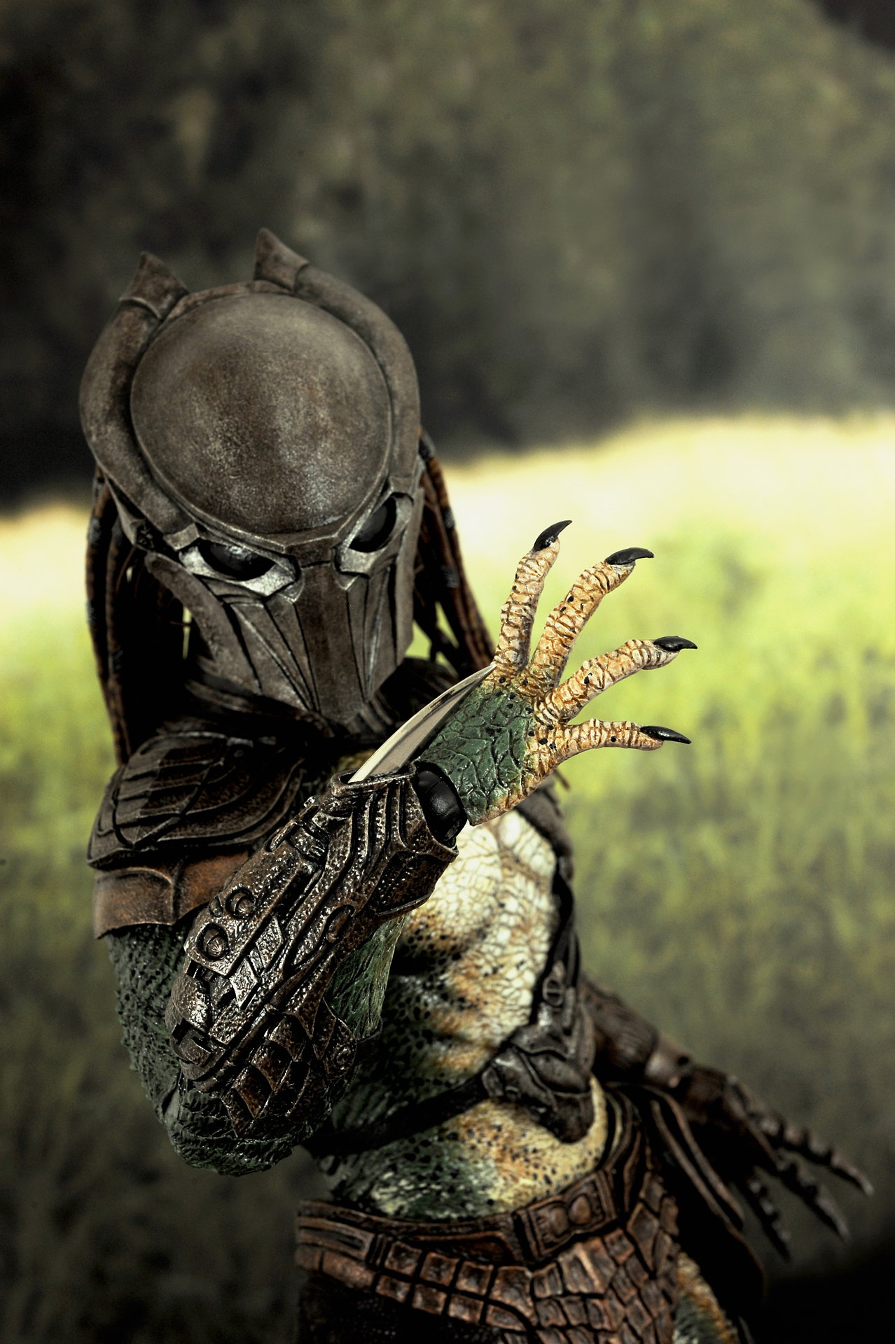 Predators - Falconer Predator image 9