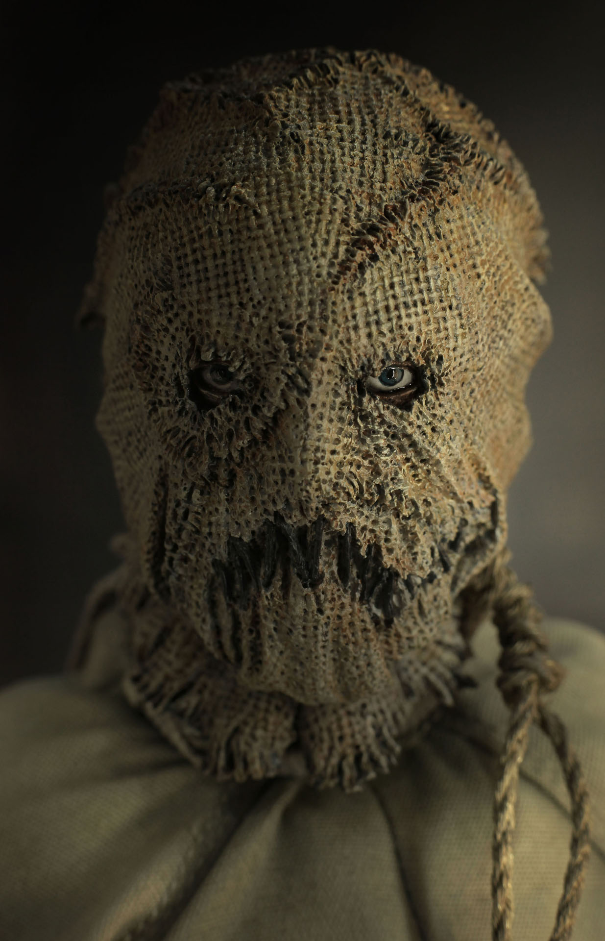 Batman Begins - Demon Batman & Scarecrow image 8