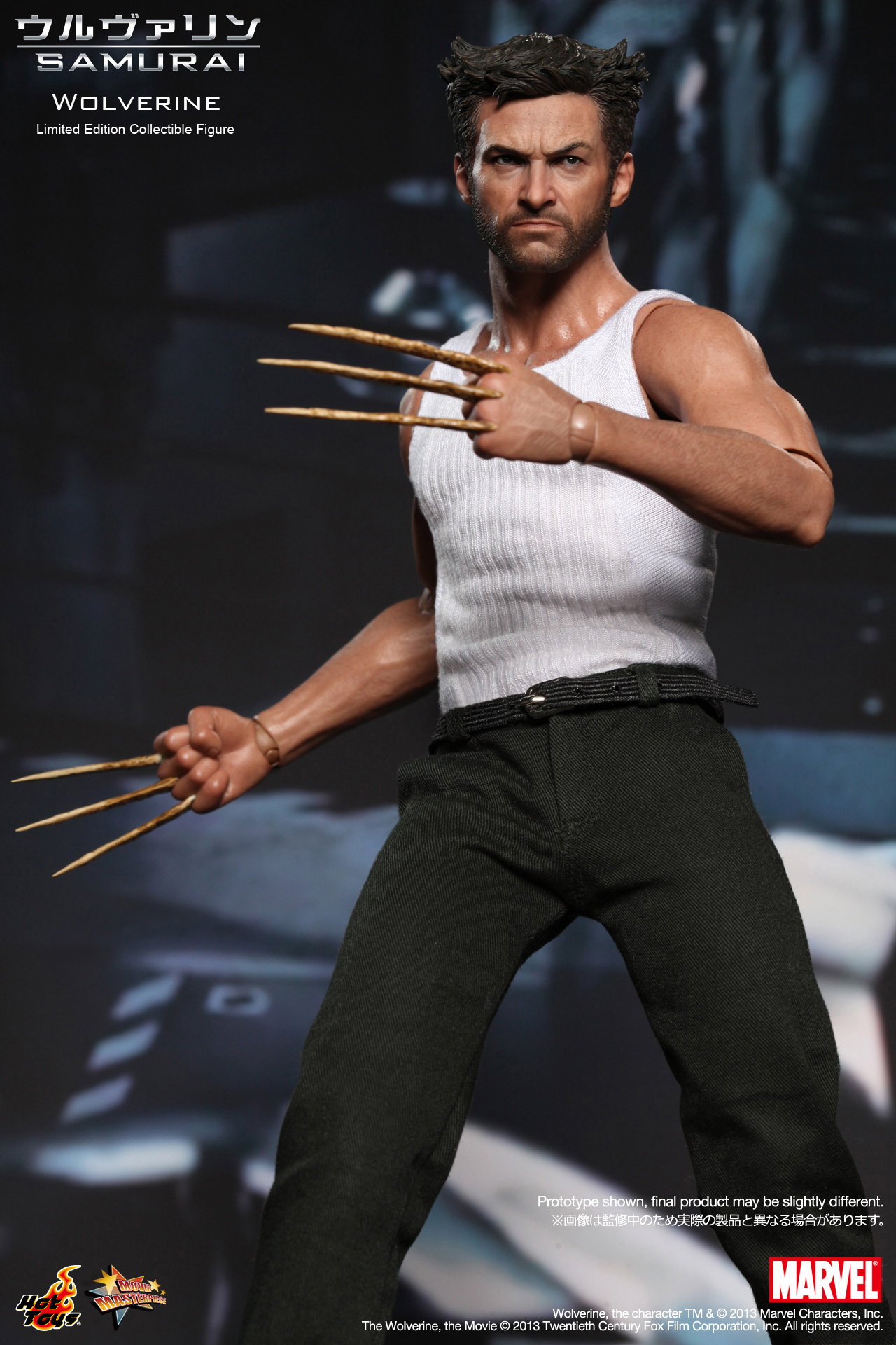 The Wolverine - Wolverine image 9