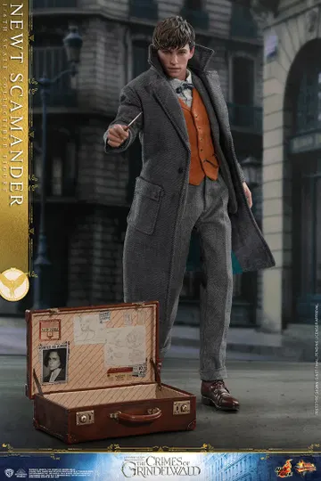 Fantastic Beasts: The Crimes of Grindelwald - Newt Scamander