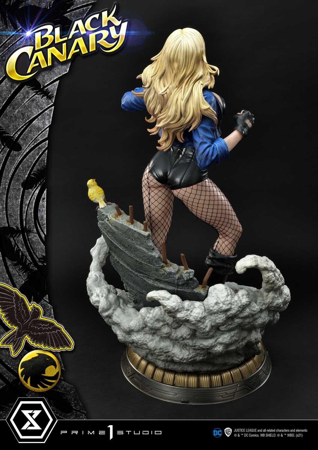 DC Comics Black Canary EX image 10