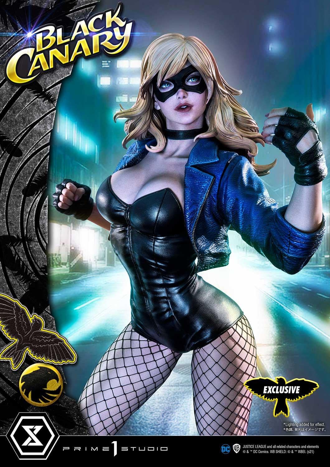 DC Comics Black Canary EX image 2