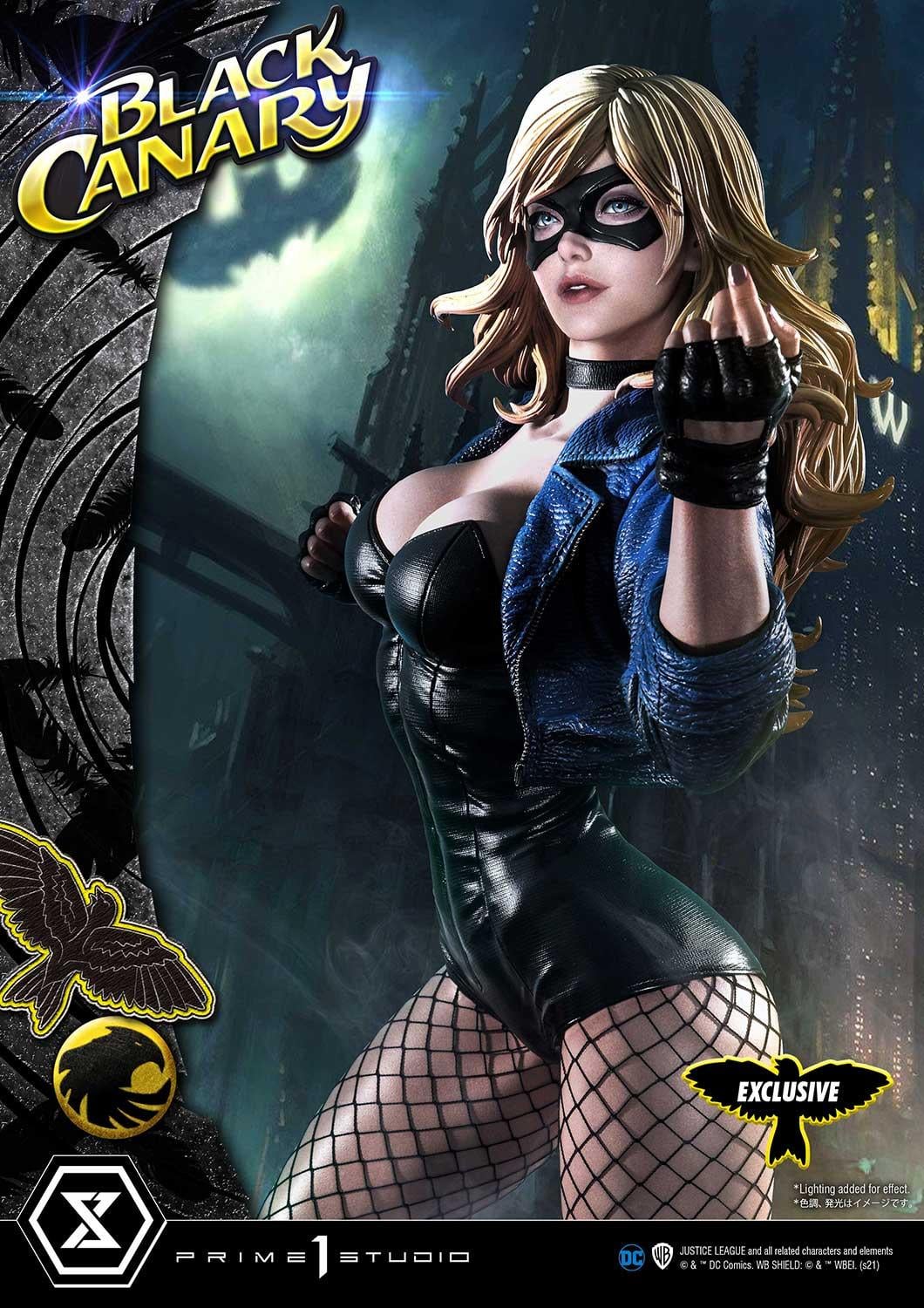 DC Comics Black Canary EX image 6
