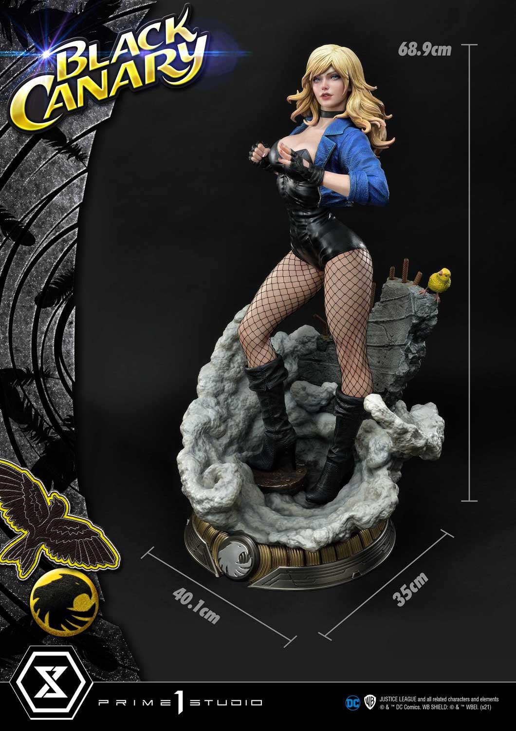 DC Comics Black Canary EX image 7