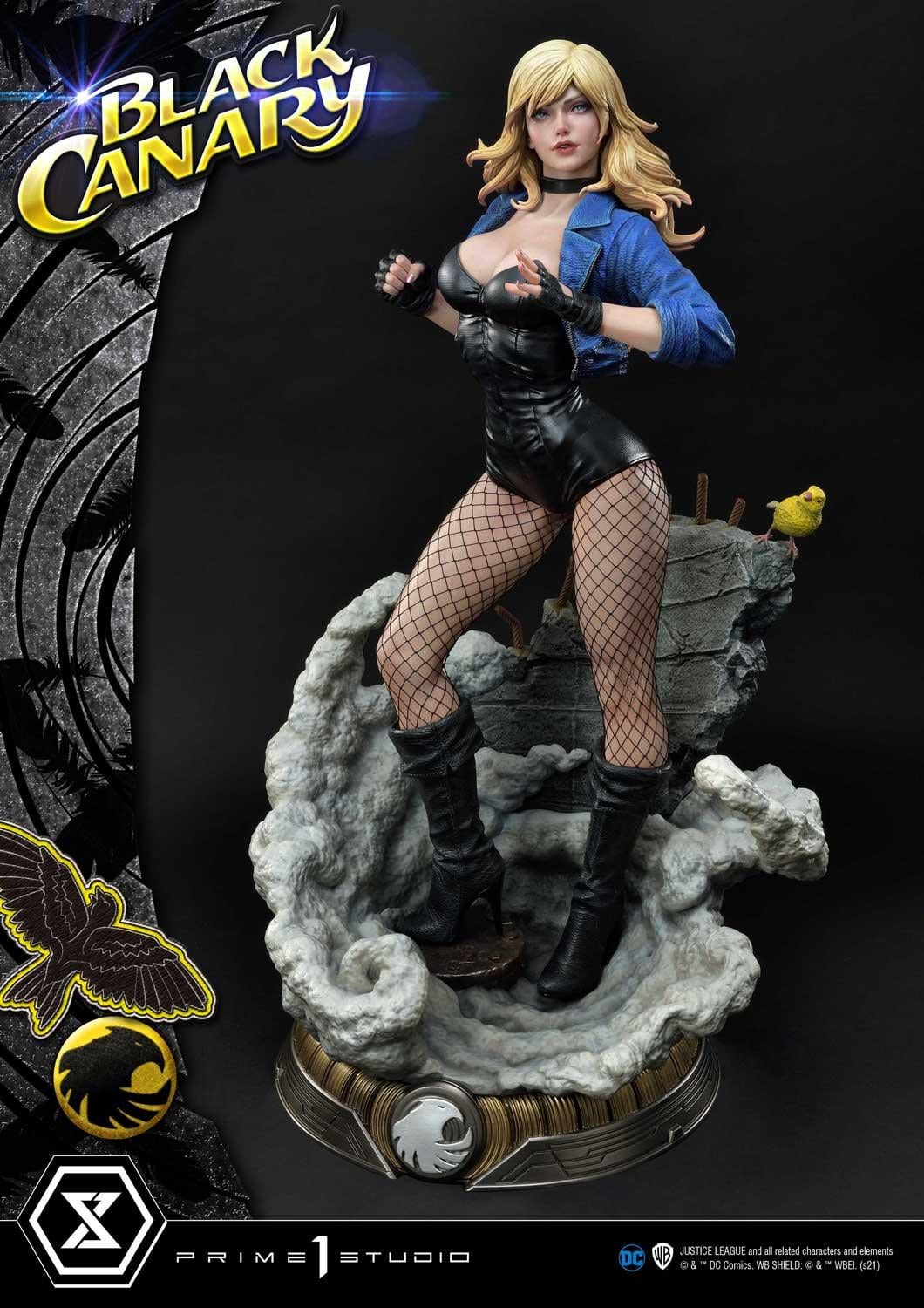 DC Comics Black Canary EX image 8