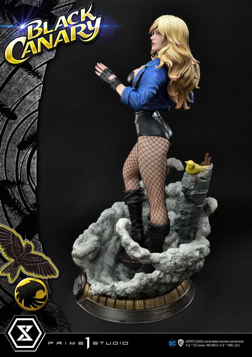 DC Comics Black Canary EX image 9