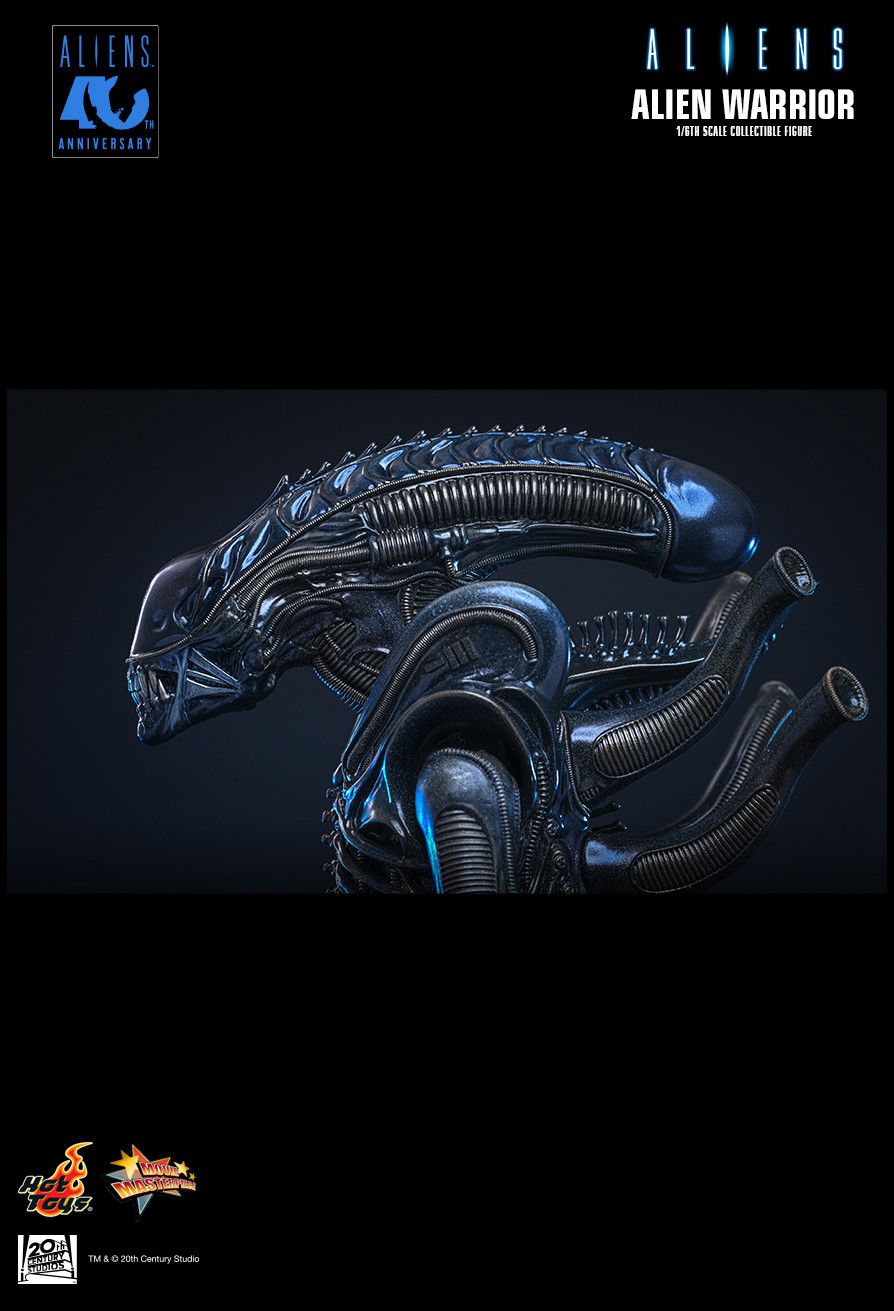 Alien Warrior image 6