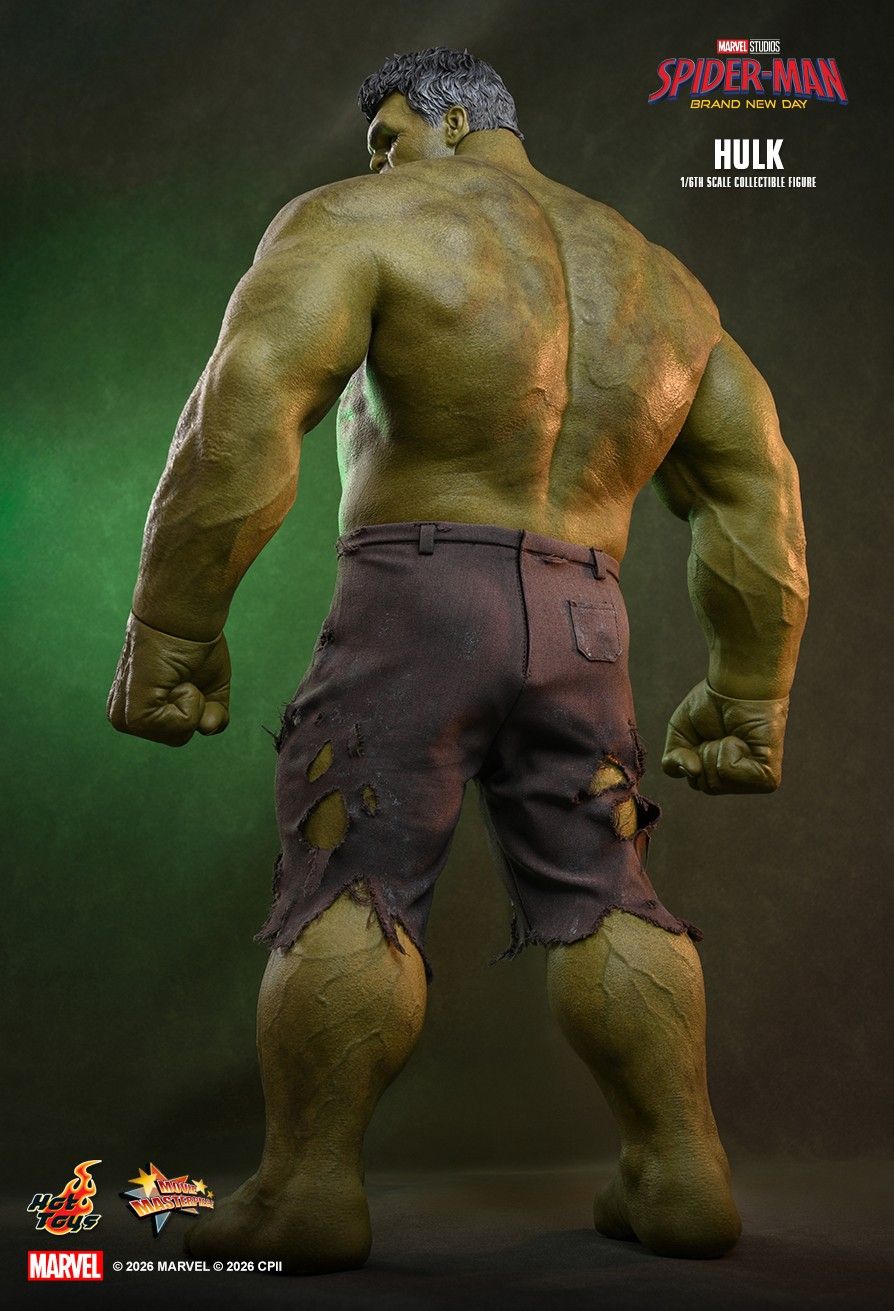 Hulk image 3