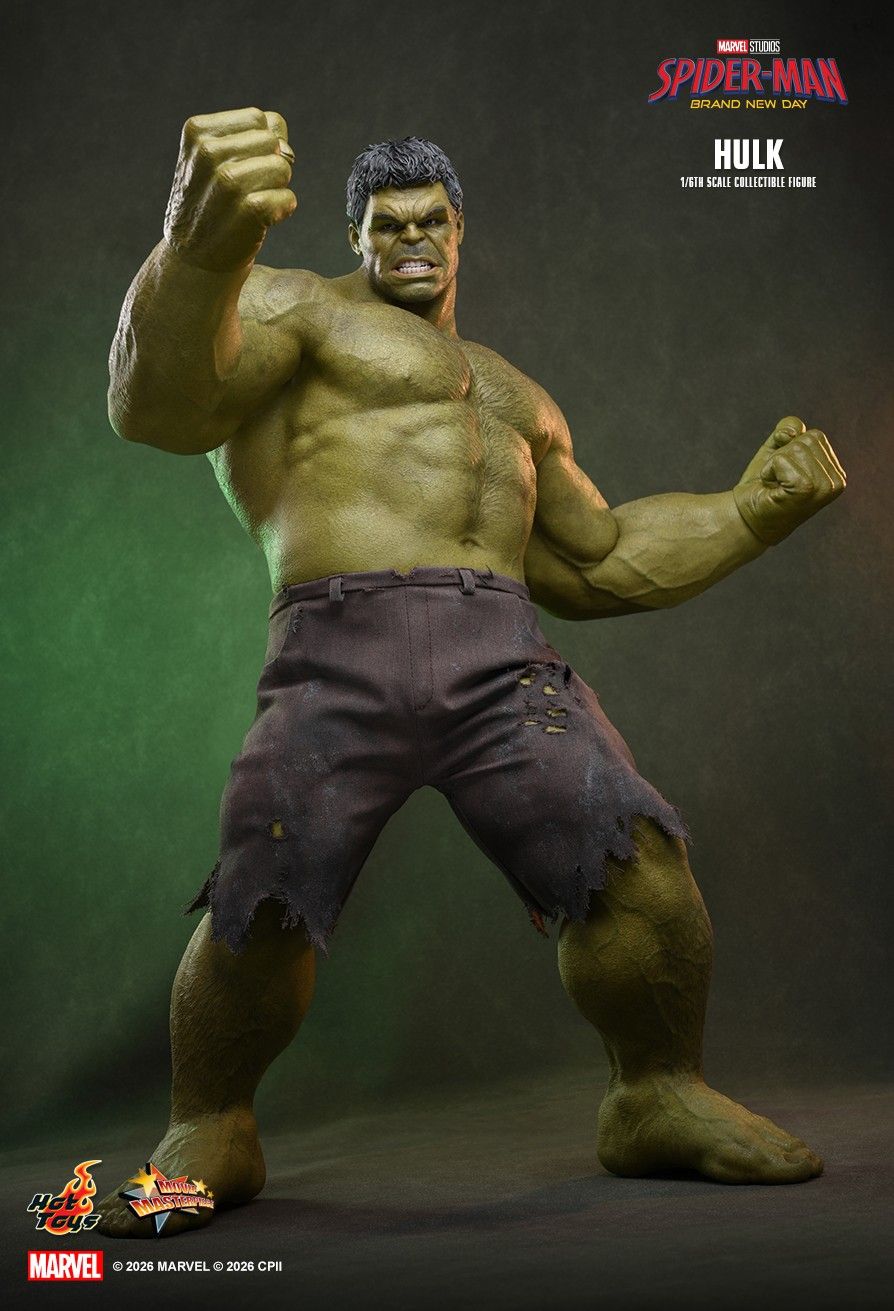 Hulk image 6