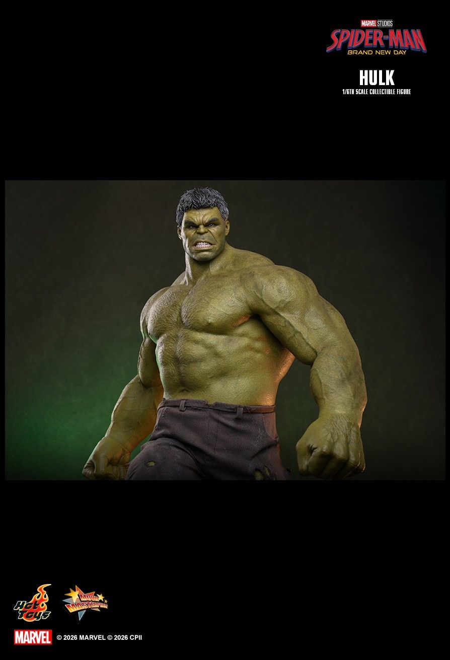 Hulk image 9