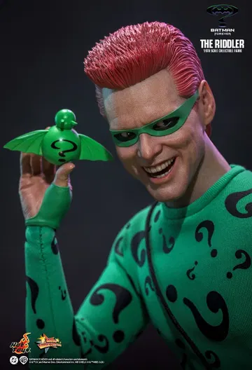 The RiddlerTM
