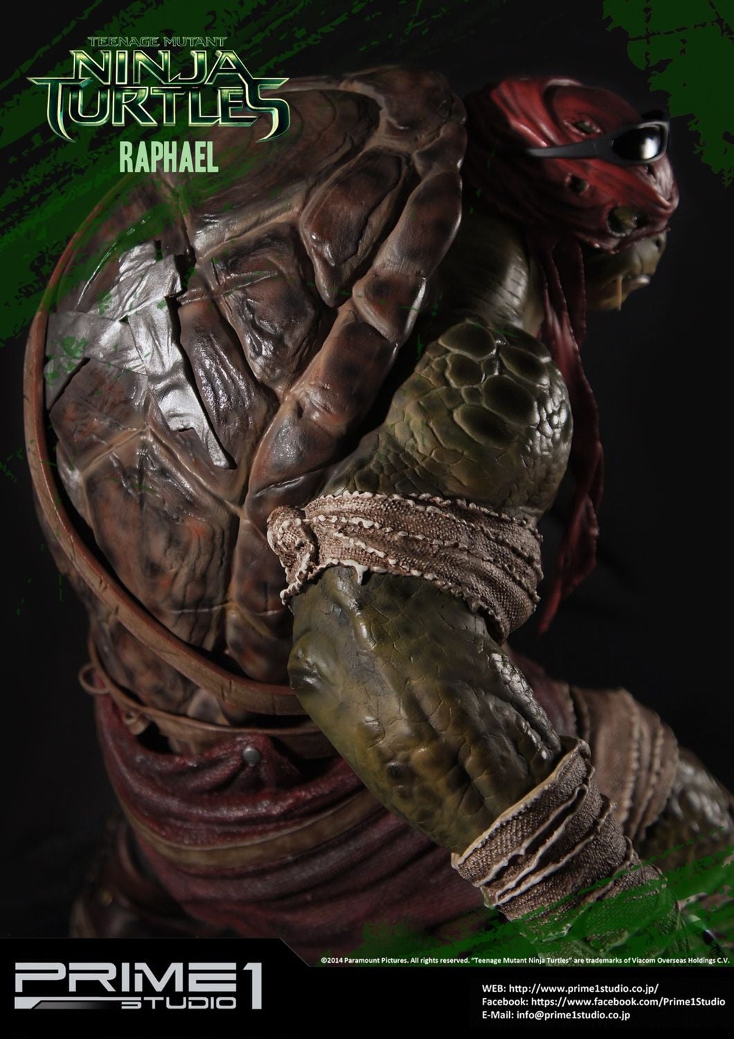 Teenage Mutant Ninja Turtles Raphael image 5