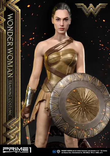 Wonder Woman(Film) Wonder Woman Training Costume
