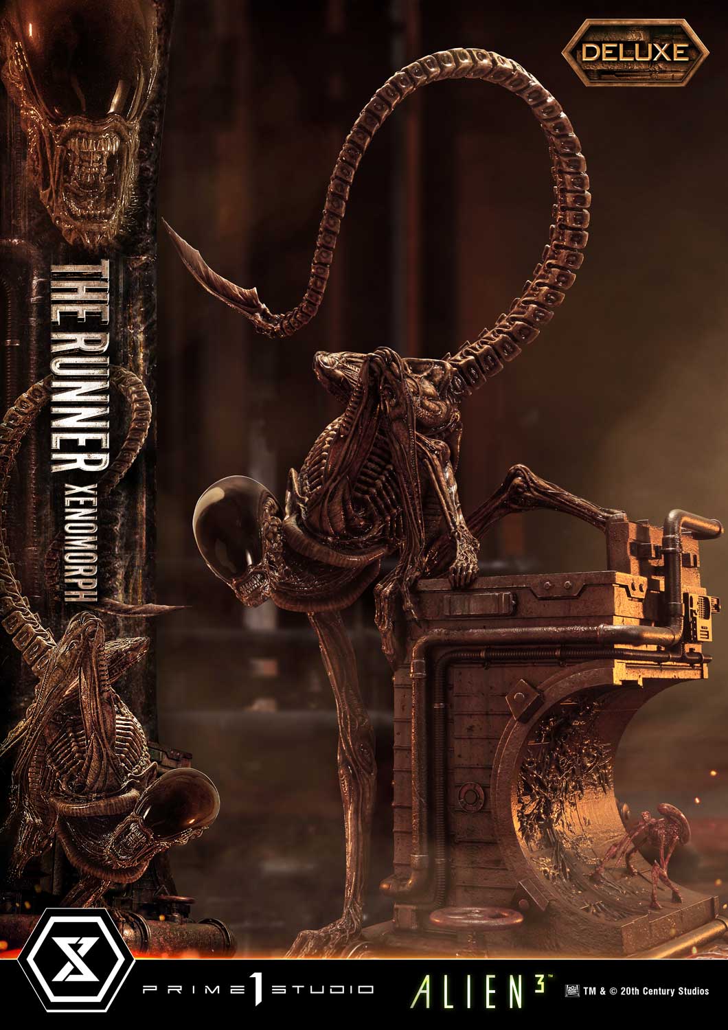 3 (Film) THE RUNNER XENOMORPH DX image 10