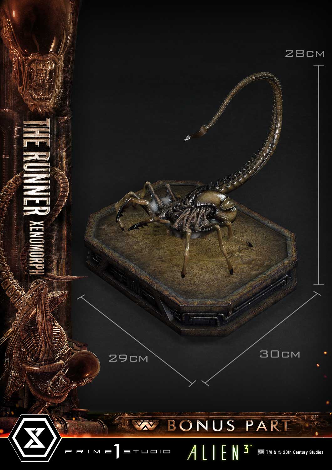 3 (Film) THE RUNNER XENOMORPH DX image 8