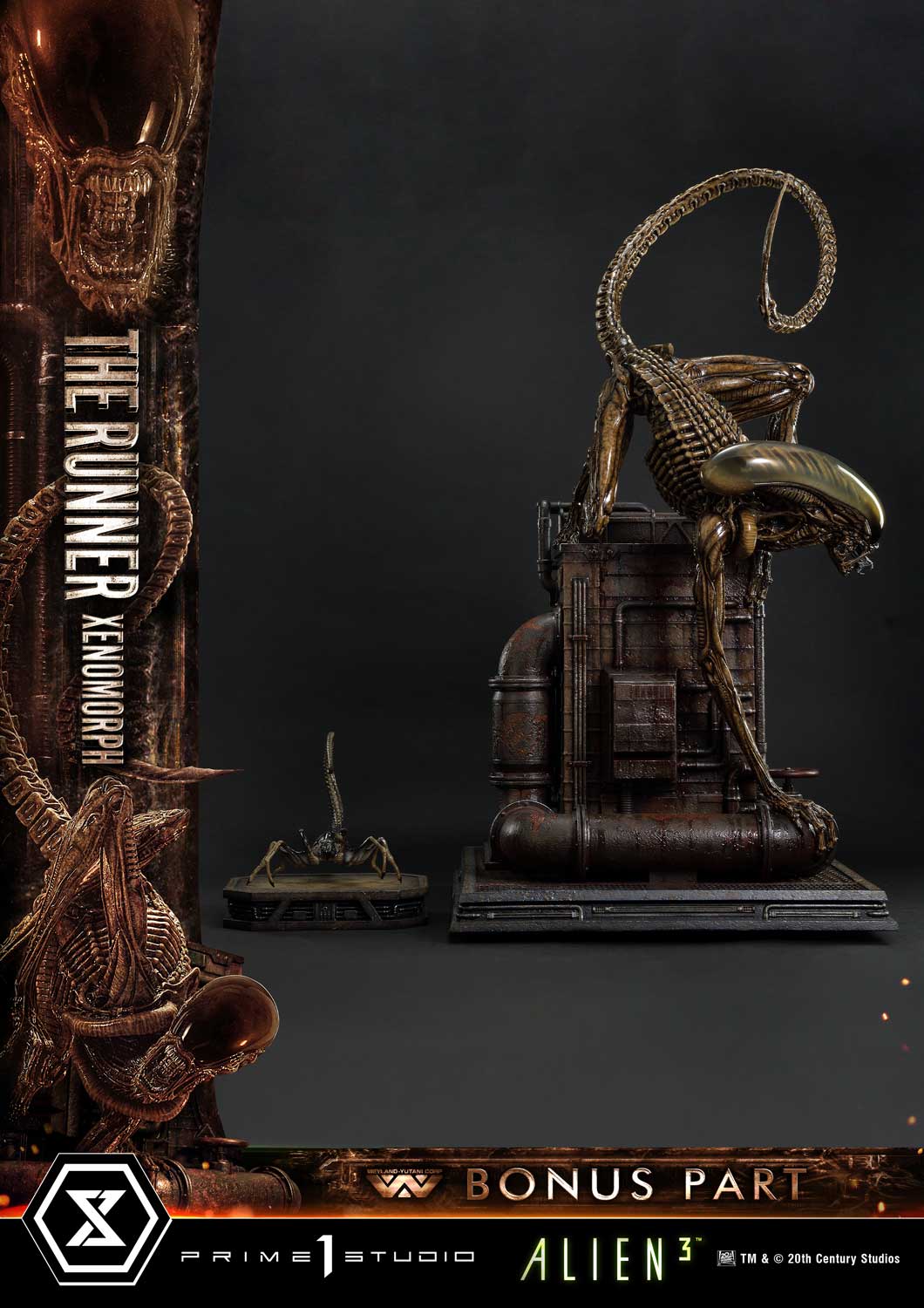 3 (Film) THE RUNNER XENOMORPH DX image 9