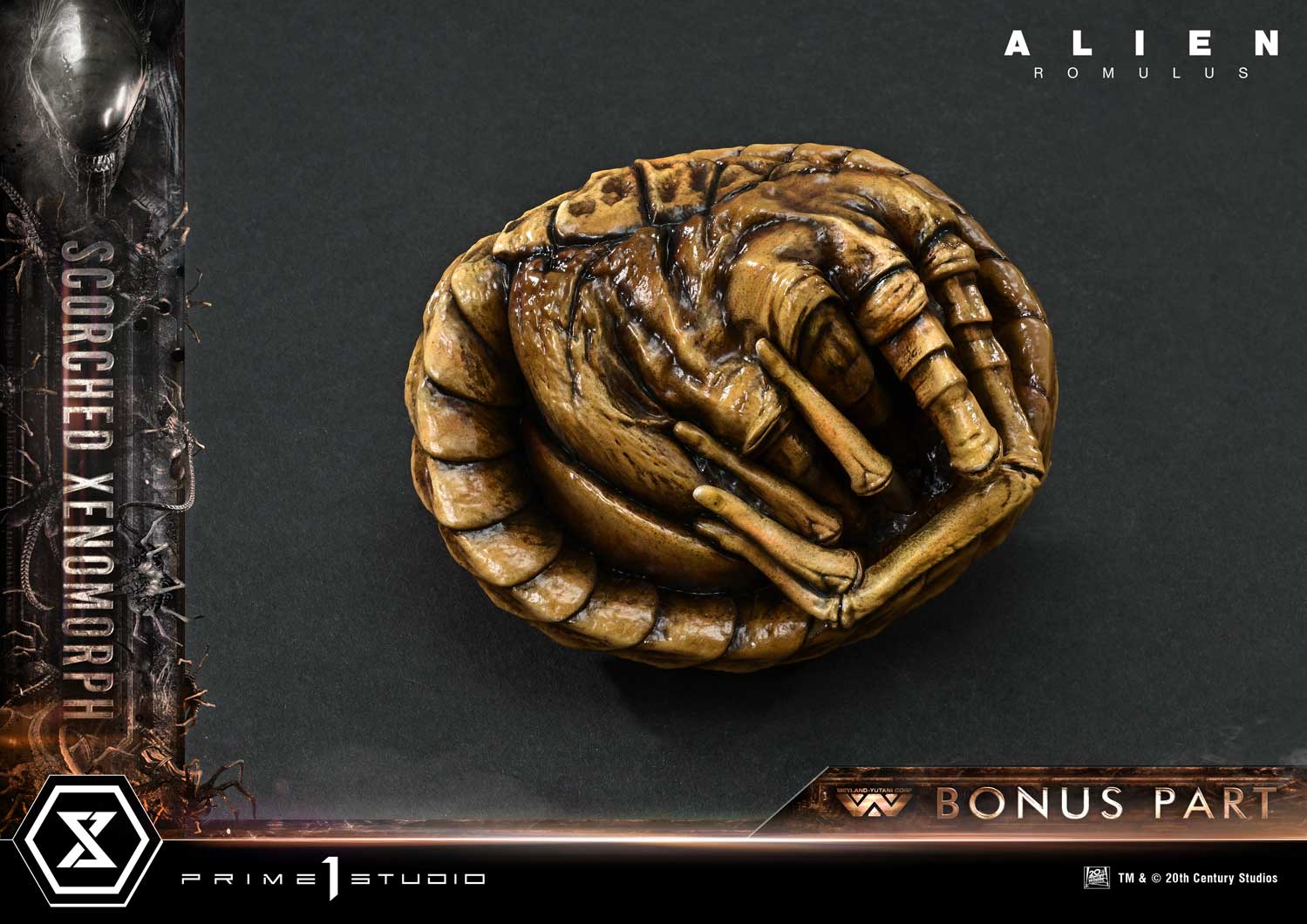Alien: Romulus Scorched Xenomorph DX image 5