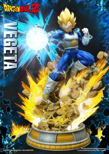Z Super Saiyan Vegeta DX