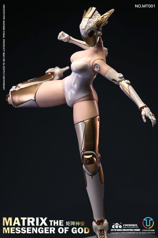 Matrix - The Messenger Of God (Prototype Battle Angel) image 4