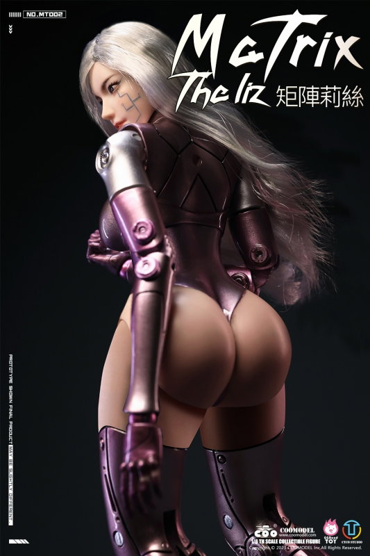 Matrix - The Liz (Personalized Battle Angel) image 10