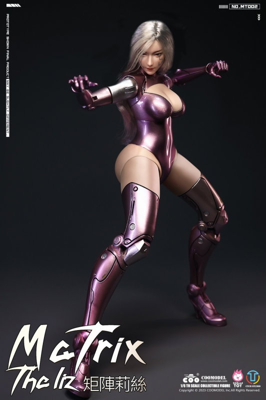 Matrix - The Liz (Personalized Battle Angel) image 2