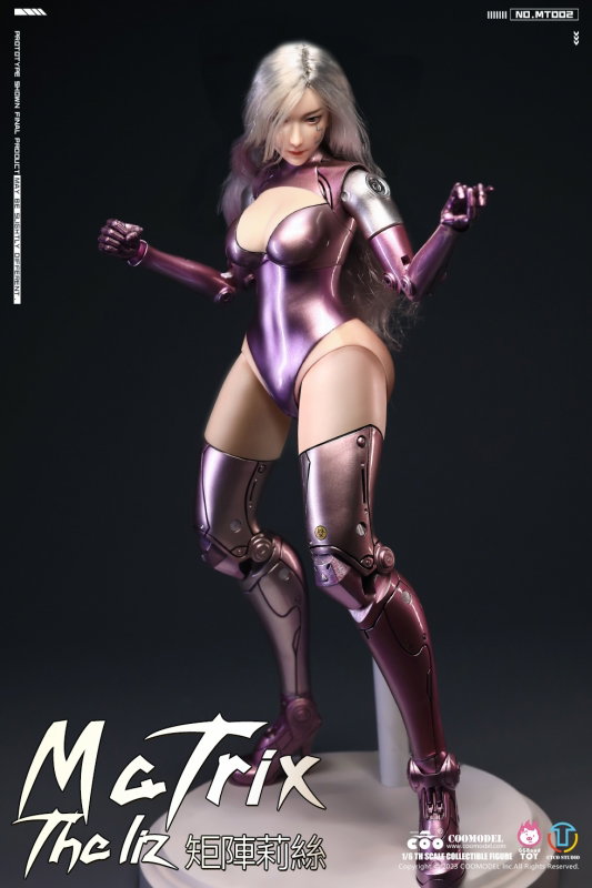 Matrix - The Liz (Personalized Battle Angel) image 3