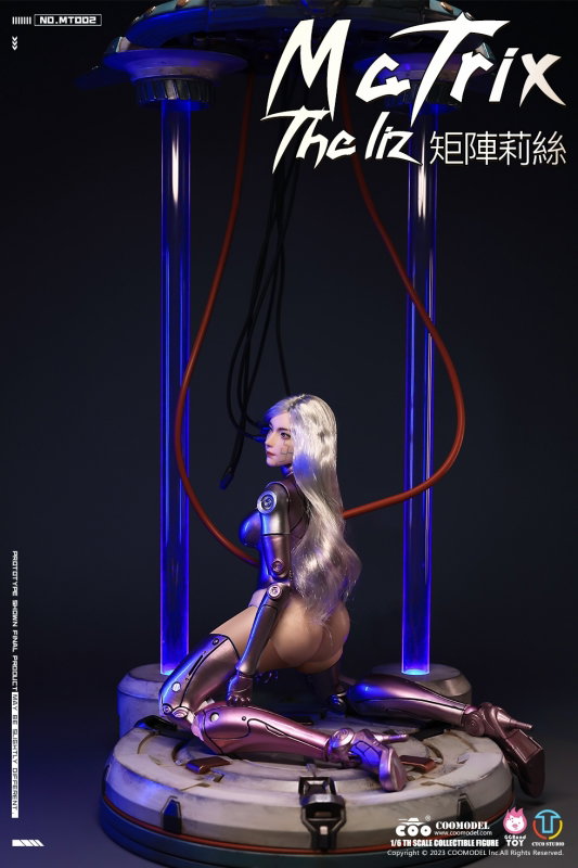 Matrix - The Liz (Personalized Battle Angel) image 4