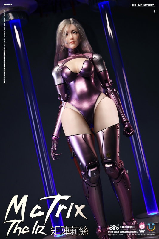 Matrix - The Liz (Personalized Battle Angel) image 6