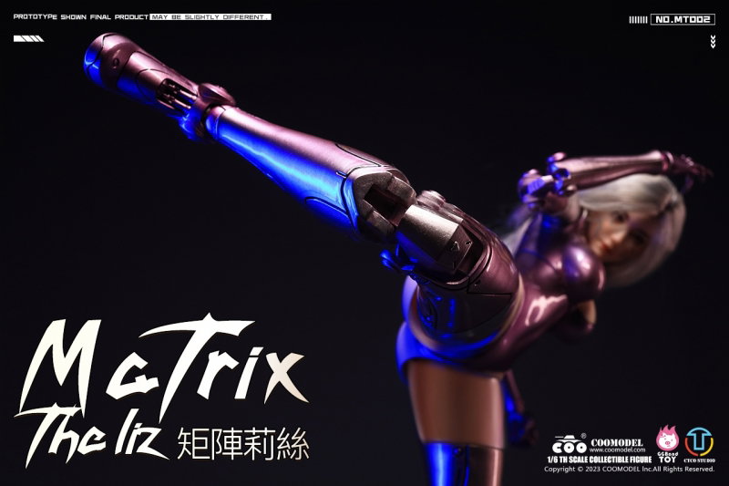 Matrix - The Liz (Personalized Battle Angel) image 8