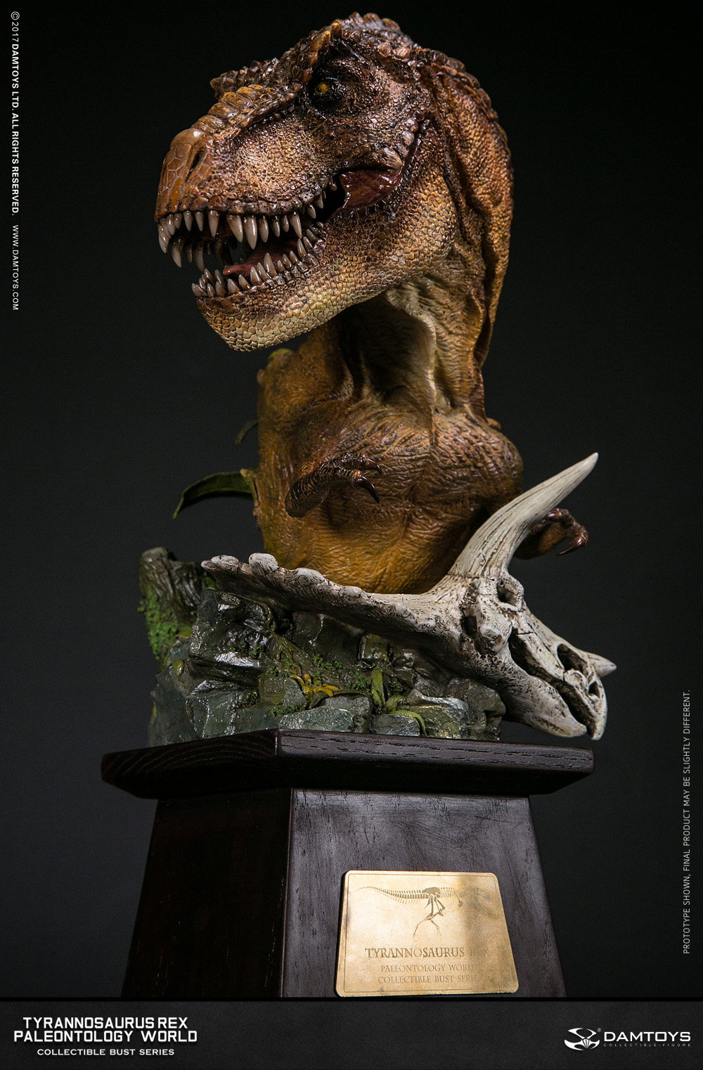 Tyrannosaurus Rex Bust - Collector's Item - MUS001A/B image 2
