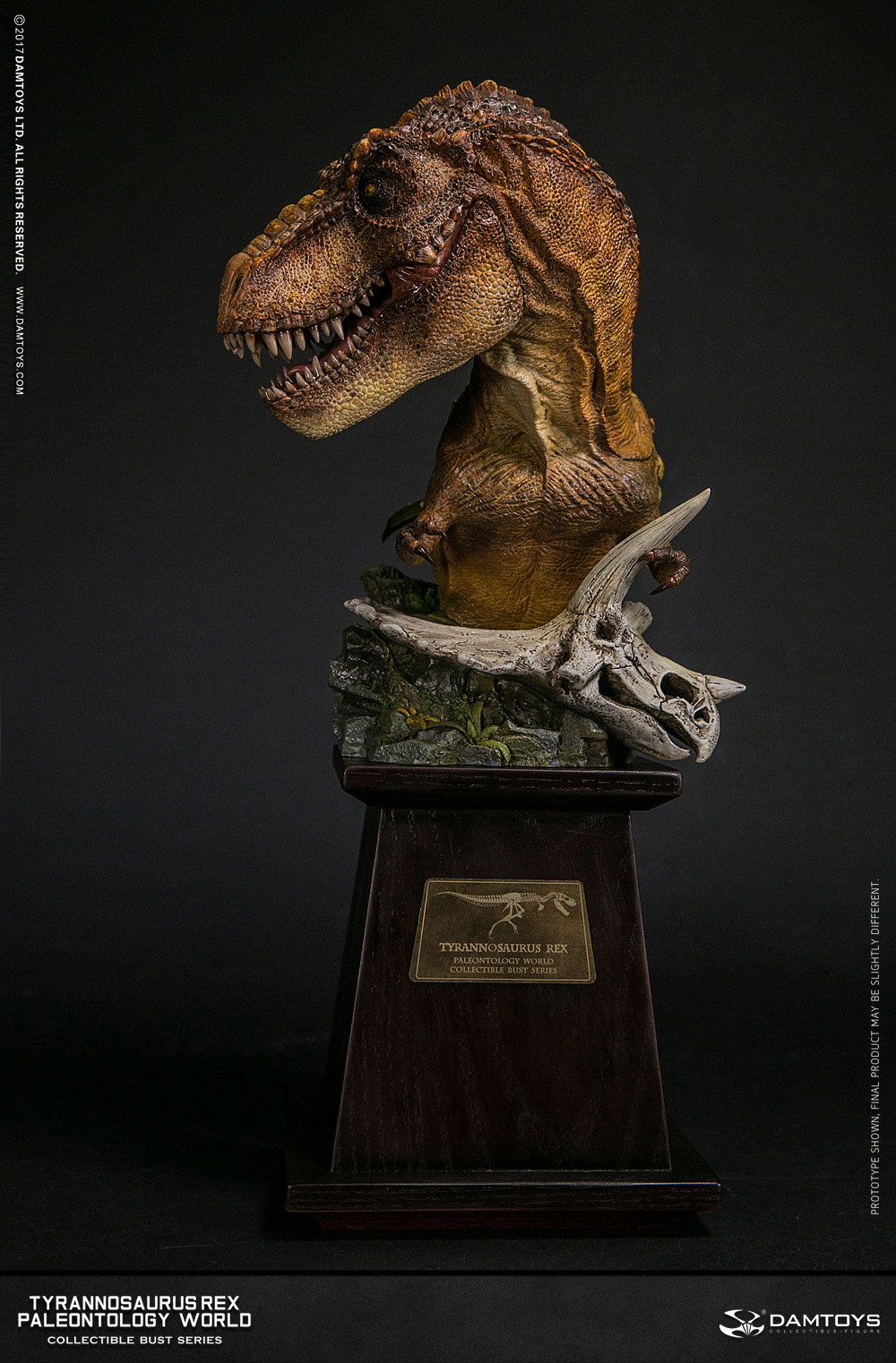 Tyrannosaurus Rex Bust - Collector's Item - MUS001A/B image 7