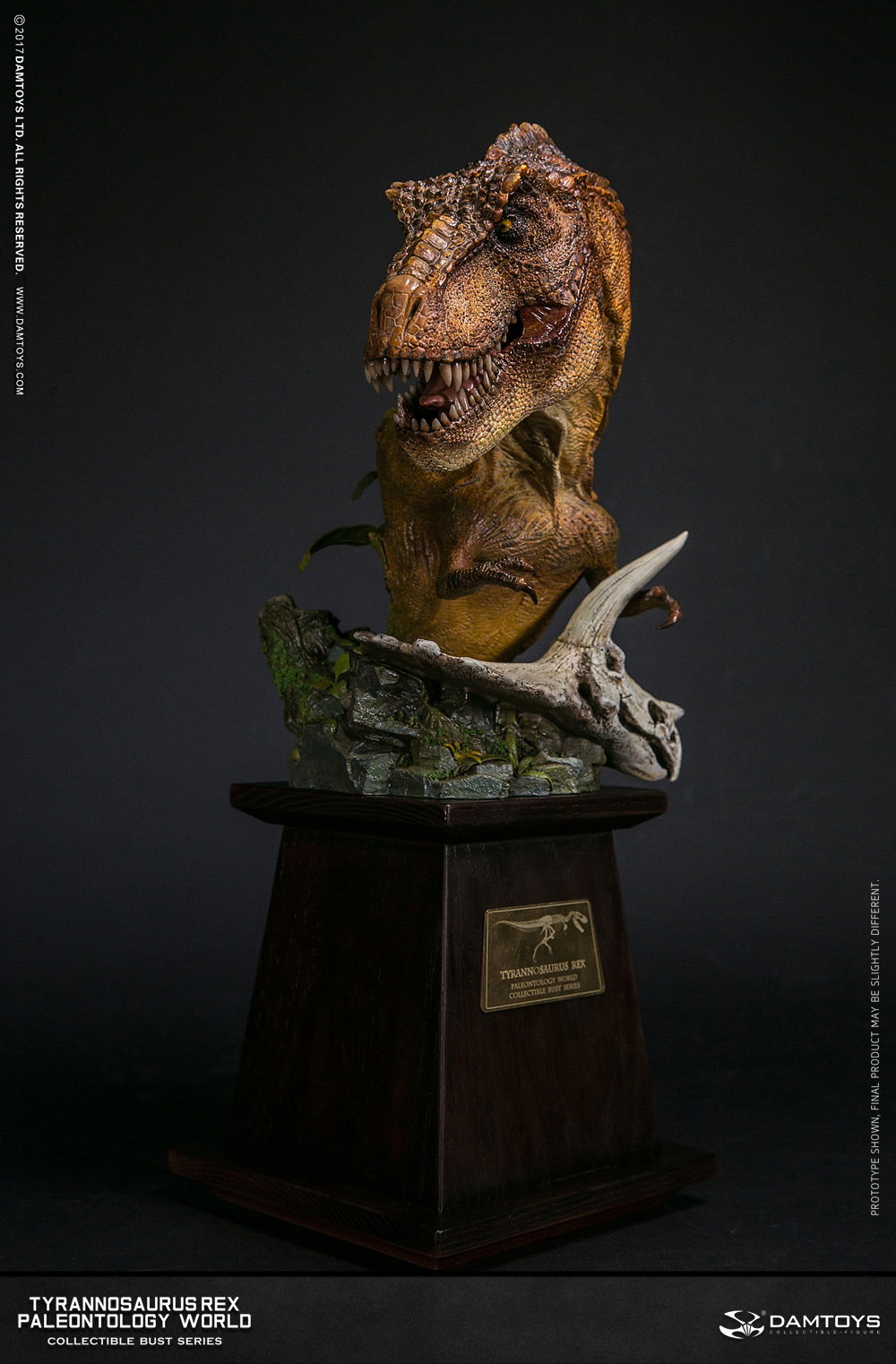 Tyrannosaurus Rex Bust - Collector's Item - MUS001A/B image 9
