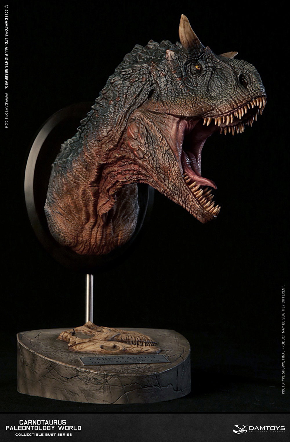 Carnotaurus Head Statue, Collector's Item - MUS005 A/B image 3