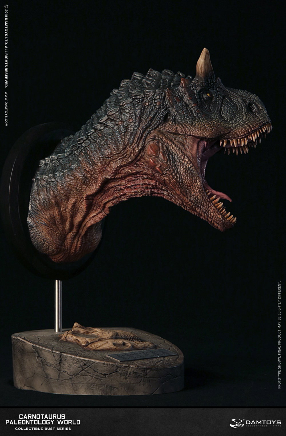 Carnotaurus Head Statue, Collector's Item - MUS005 A/B image 4