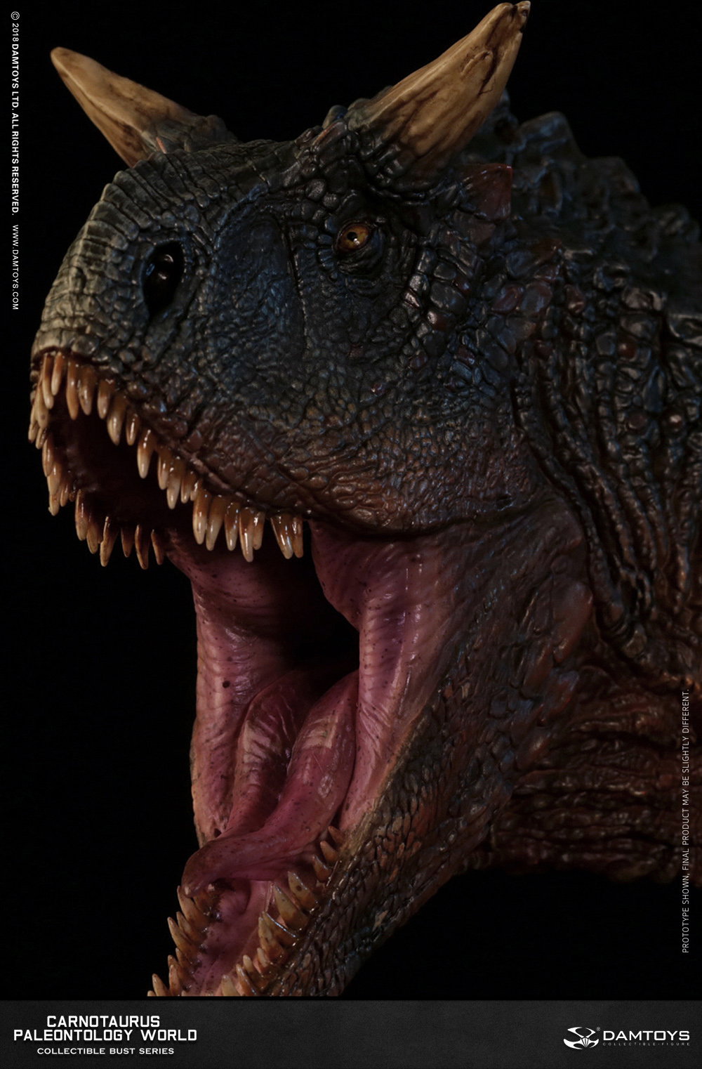 Carnotaurus Head Statue, Collector's Item - MUS005 A/B image 5