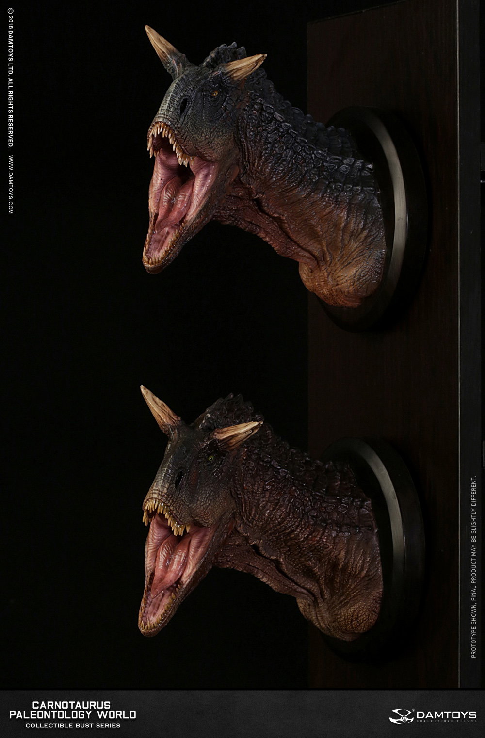 Carnotaurus Head Statue, Collector's Item - MUS005 A/B image 8