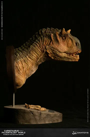 Carnotaurus (female) head statue, collector's item - MUS006A/B