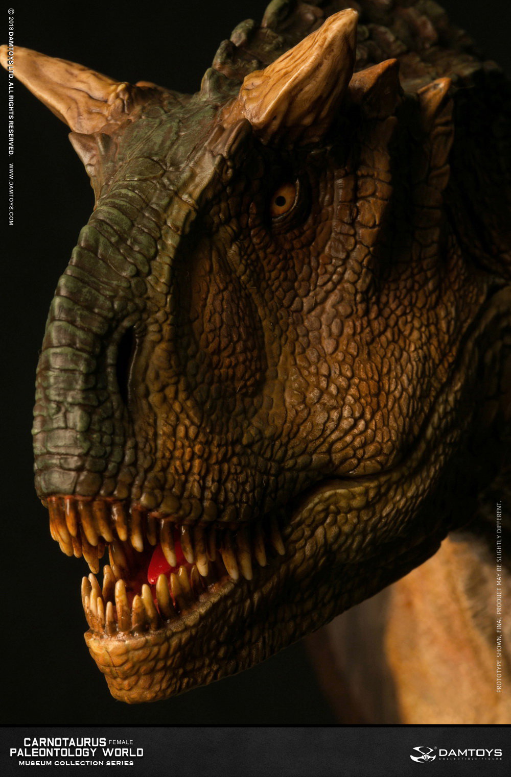 Carnotaurus (female) head statue, collector's item - MUS006A/B image 10