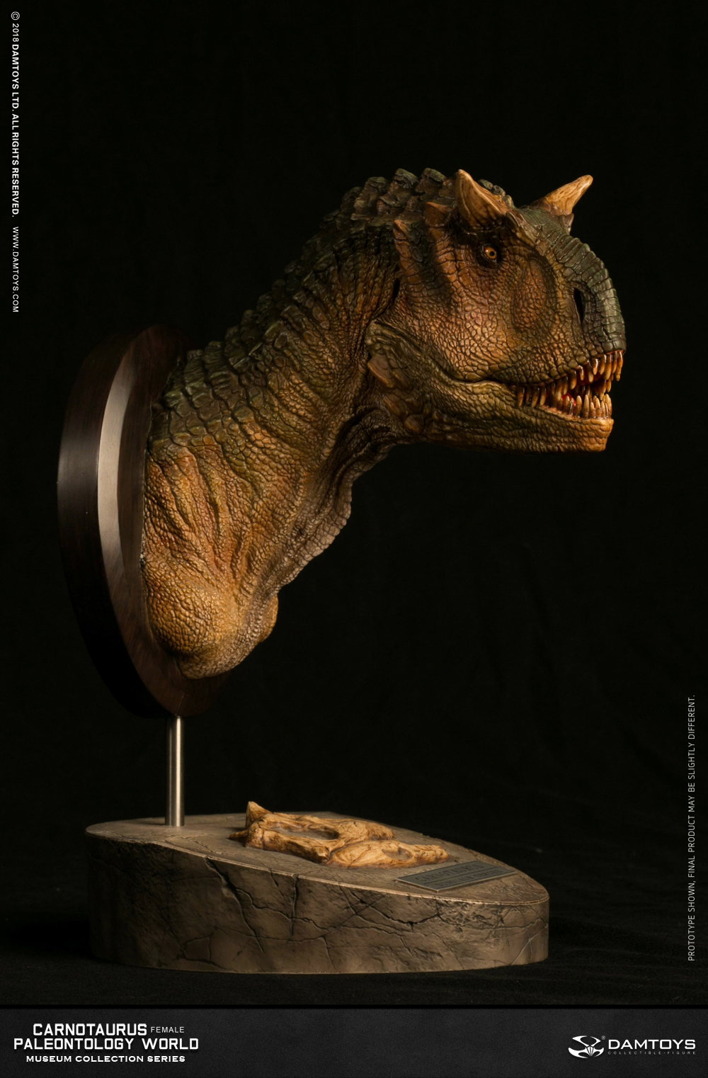 Carnotaurus (female) head statue, collector's item - MUS006A/B image 2