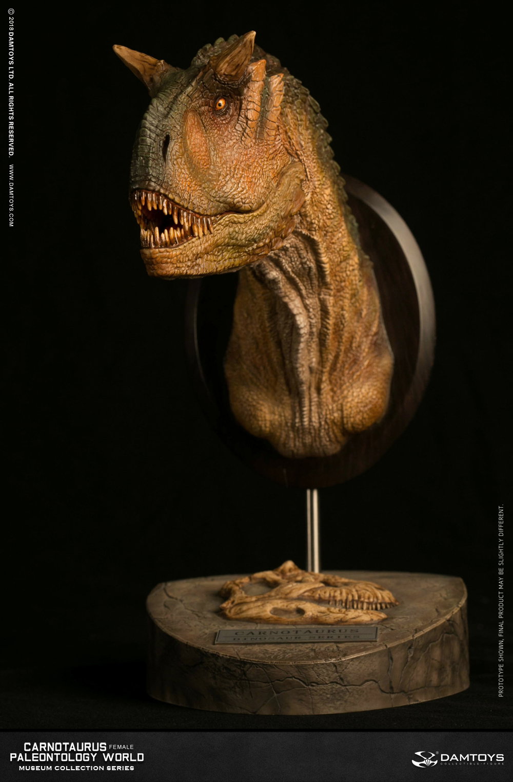Carnotaurus (female) head statue, collector's item - MUS006A/B image 3