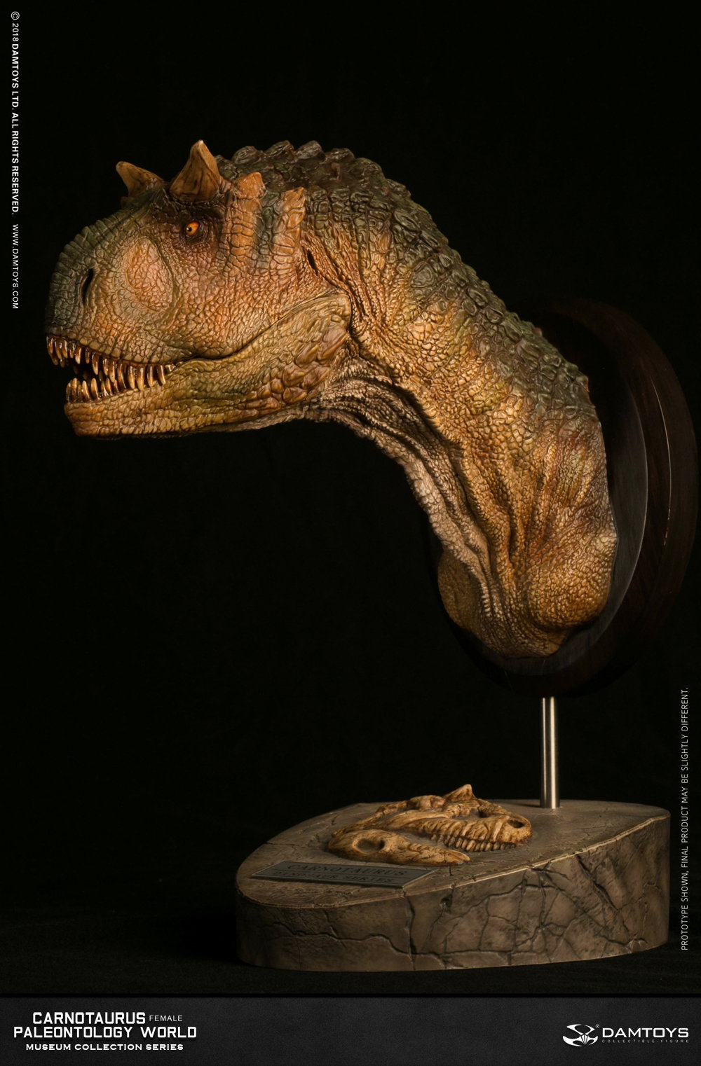 Carnotaurus (female) head statue, collector's item - MUS006A/B image 4